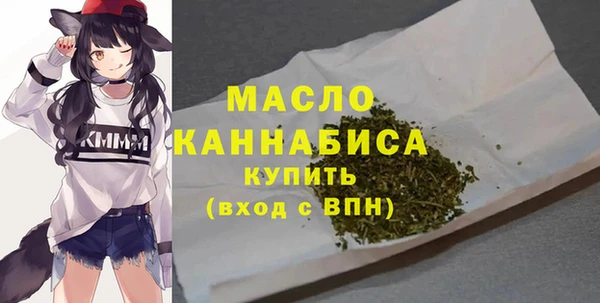 ПСИЛОЦИБИНОВЫЕ ГРИБЫ Строитель