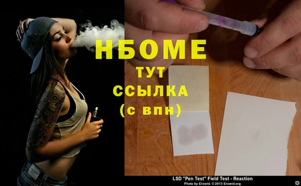 ПСИЛОЦИБИНОВЫЕ ГРИБЫ Строитель