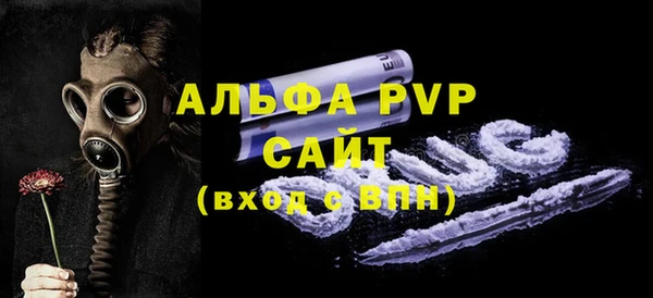 ПСИЛОЦИБИНОВЫЕ ГРИБЫ Строитель