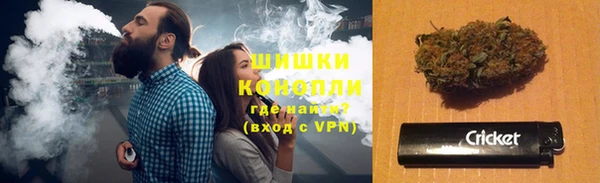 ПСИЛОЦИБИНОВЫЕ ГРИБЫ Строитель