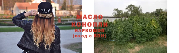 ПСИЛОЦИБИНОВЫЕ ГРИБЫ Строитель
