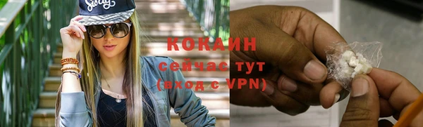 ПСИЛОЦИБИНОВЫЕ ГРИБЫ Строитель