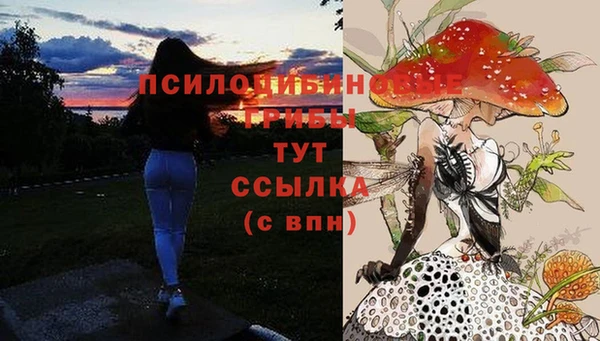 ПСИЛОЦИБИНОВЫЕ ГРИБЫ Строитель