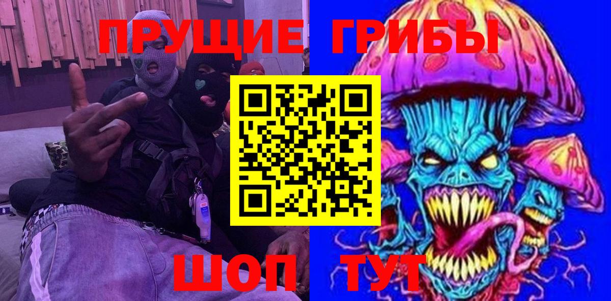 Галлюциногенные грибы Psilocybine cubensis  Владимир  Псилоцибиновые грибы мицелий 