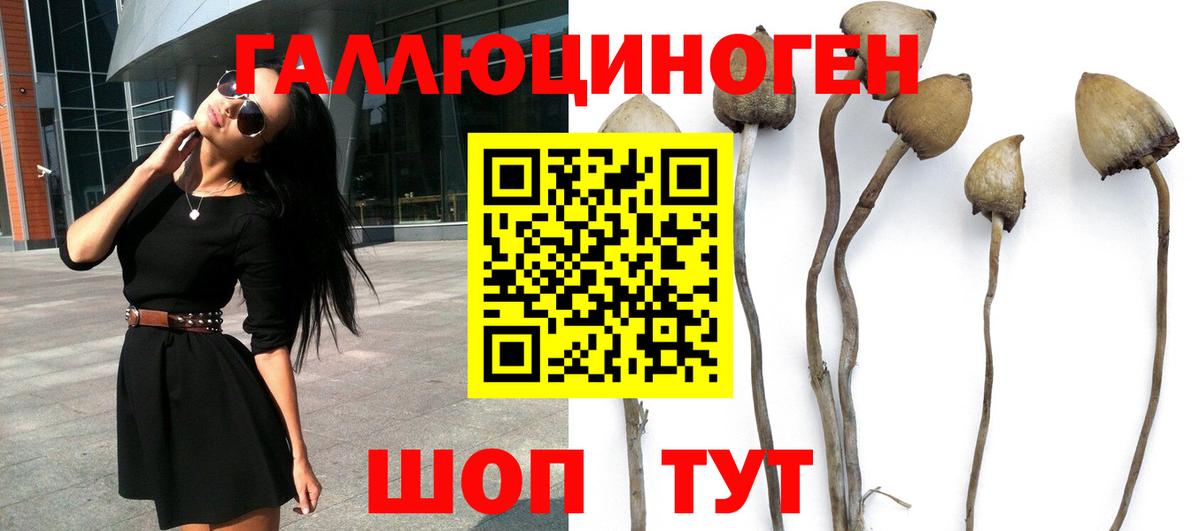 Владимир  Псилоцибиновые грибы MAGIC MUSHROOMS  Вход с VPN 