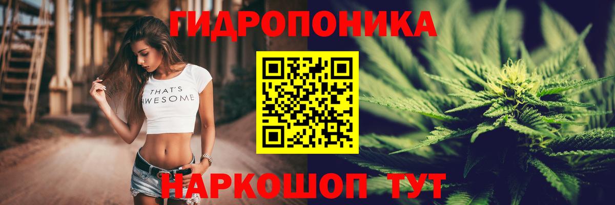 Бошки марихуана Ganja Владимир